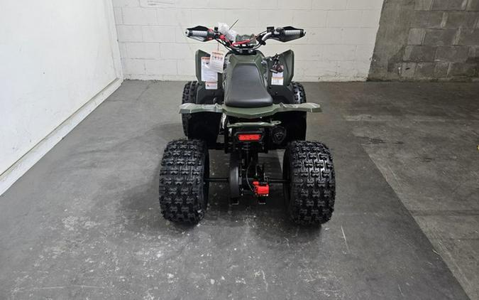 2026 Denago Powersports Trailhawk 10 FI