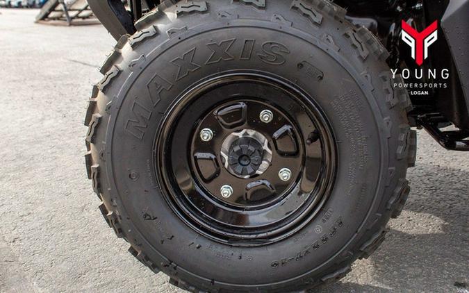 2026 Kawasaki Brute Force 300