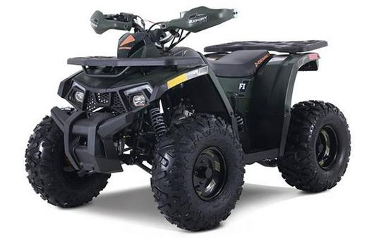 2026 Denago Powersports Mudhawk 10FI