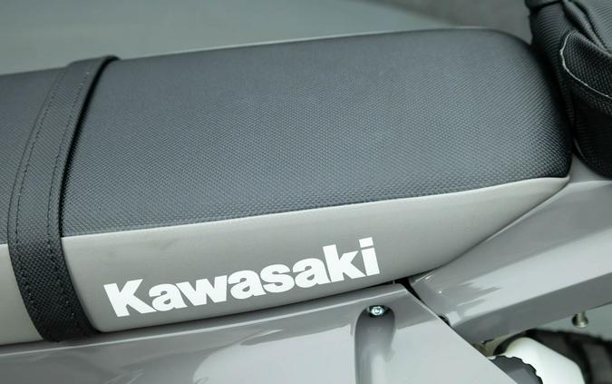 2025 KAWASAKI KLX300 KLX 300