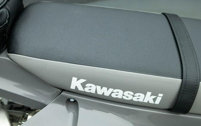 2025 KAWASAKI KLX300 KLX 300