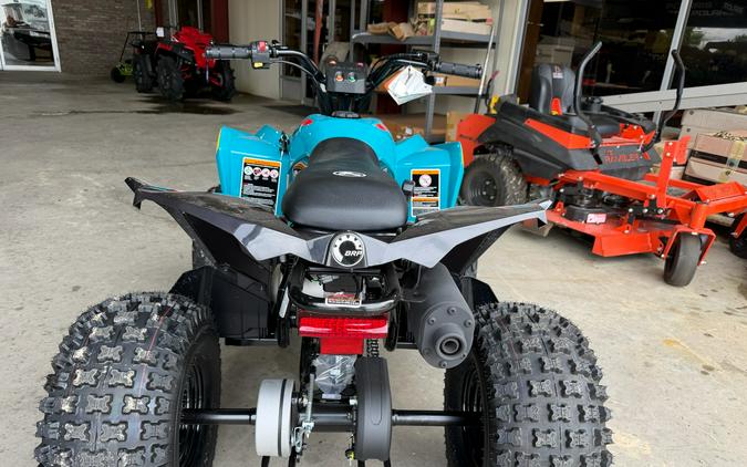 2026 Can-Am Renegade 110 EFI