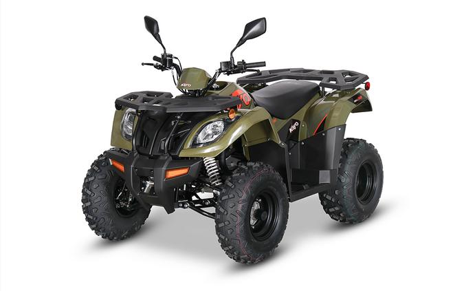 2024 Kayo NEW! Bull 300 EFI [Age 14+]