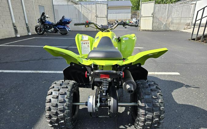 2026 Yamaha Raptor 110