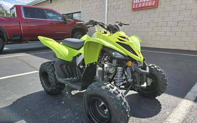 2026 Yamaha Raptor 110