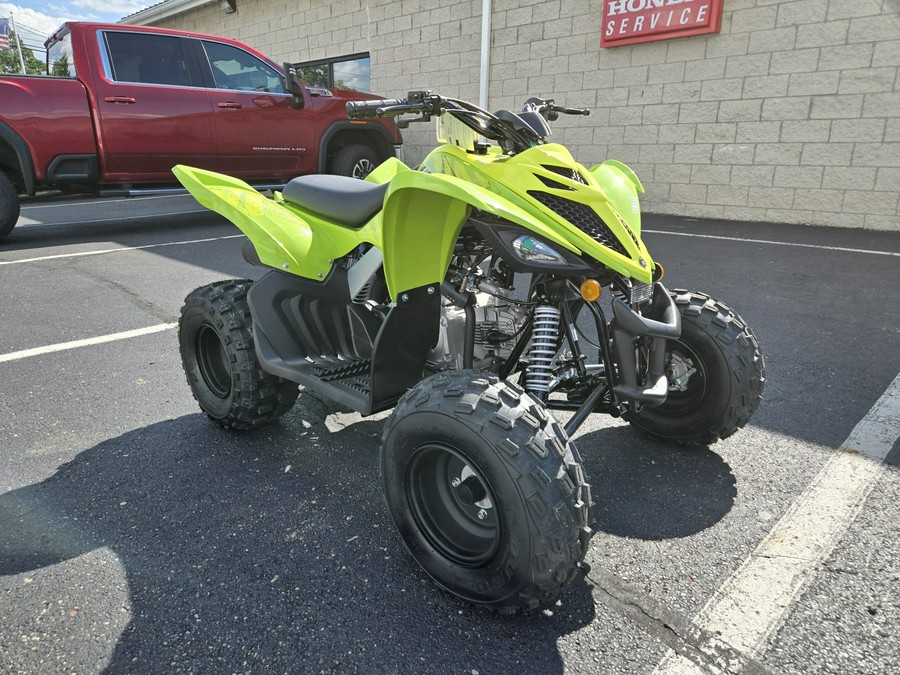 2026 Yamaha Raptor 110
