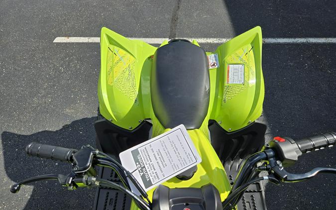 2026 Yamaha Raptor 110