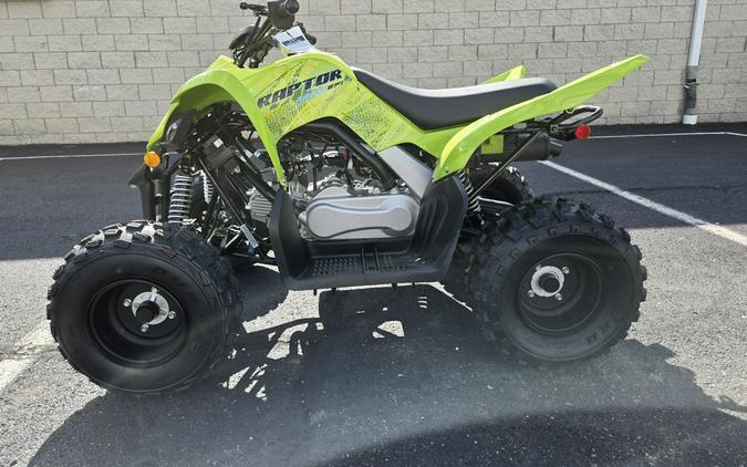 2026 Yamaha Raptor 110