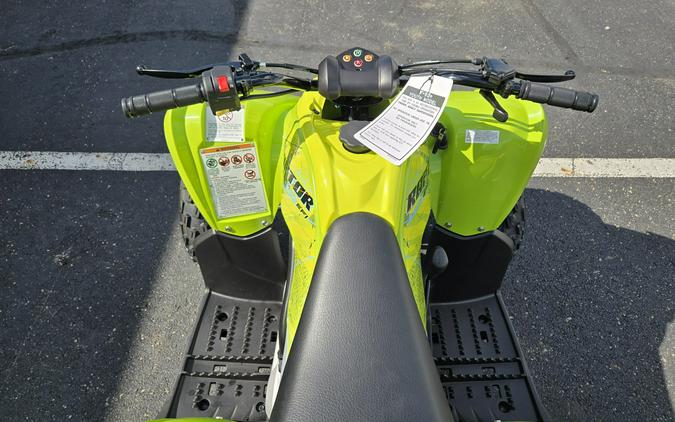2026 Yamaha Raptor 110
