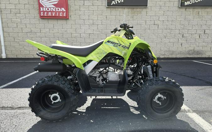 2026 Yamaha Raptor 110