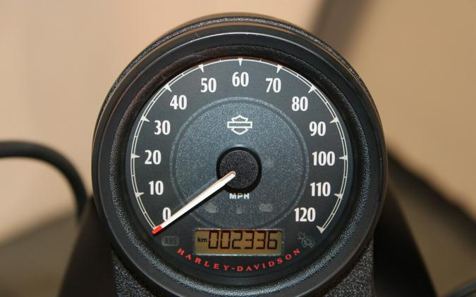 Used 2022 Harley-Davidson Iron 883 Cruiser XL 883N Motorcycle For Sale In Miami, Florida