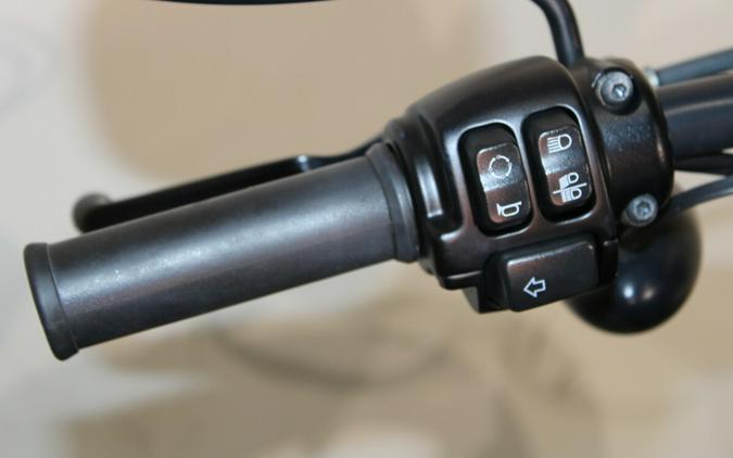 Used 2022 Harley-Davidson Iron 883 Cruiser XL 883N Motorcycle For Sale In Miami, Florida