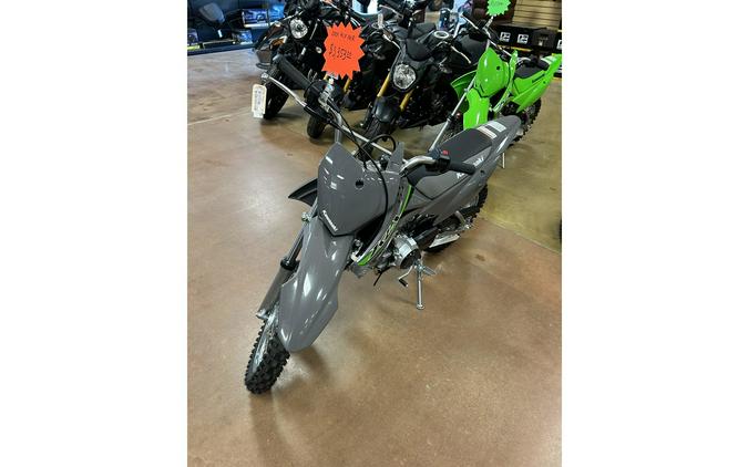 2024 Kawasaki KLX110R