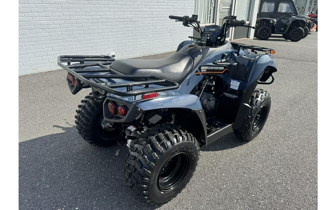 2025 Kawasaki BRUTE FORCE 300