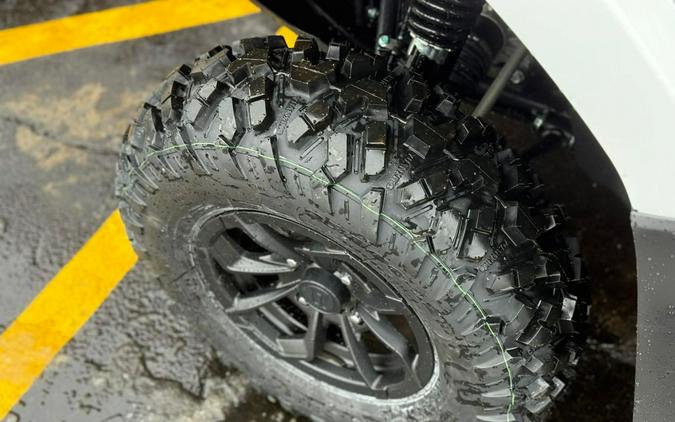 2026 CFMOTO CForce 500