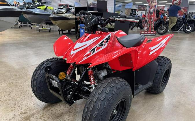 2026 Honda TRX90X