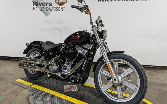 2024 Harley-Davidson Softail Standard Vivid Black