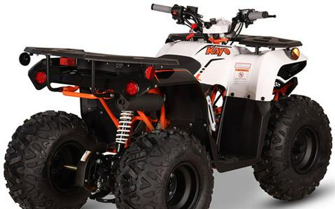 2027 Kayo Bull 110