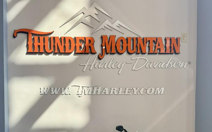 2014 Harley-Davidson Sportster® Iron 883™