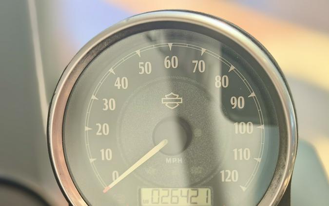 2014 Harley-Davidson Sportster® Iron 883™