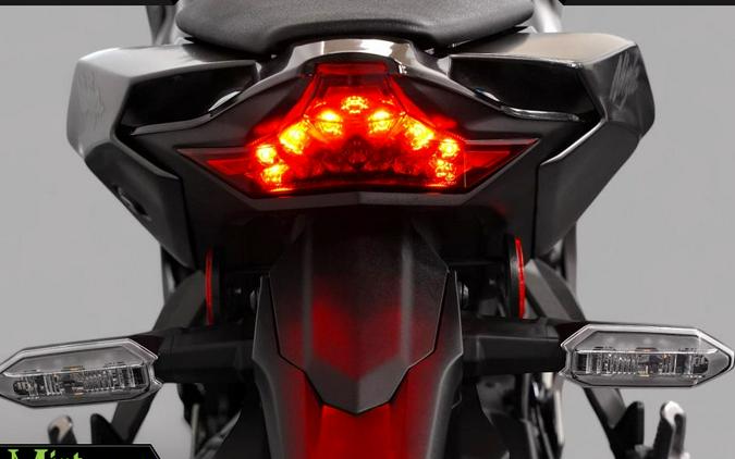 2024 Kawasaki Ninja ZX-10R