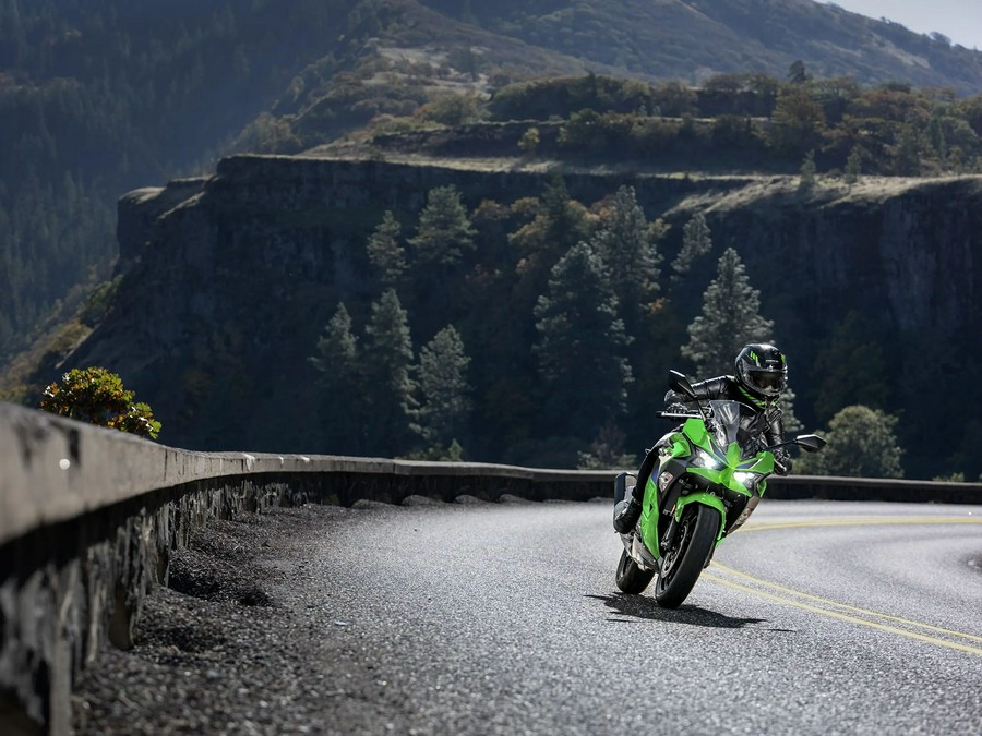 2026 Kawasaki Ninja® 500