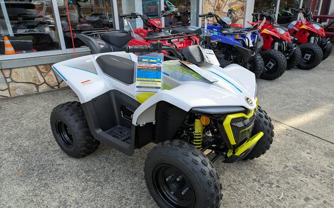 2024 CFMOTO CForce EV110