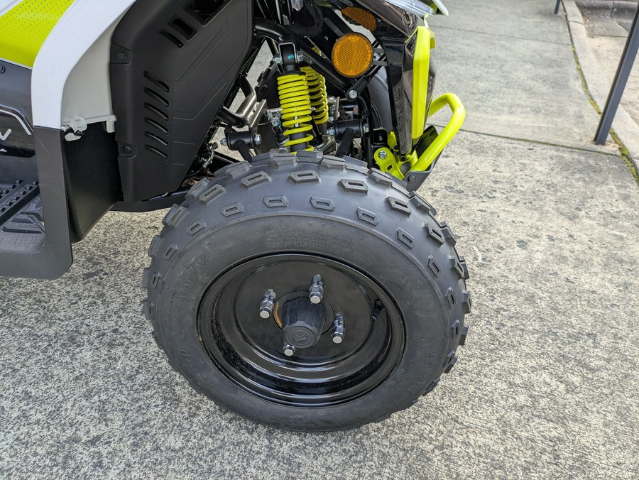 2024 CFMOTO CForce EV110