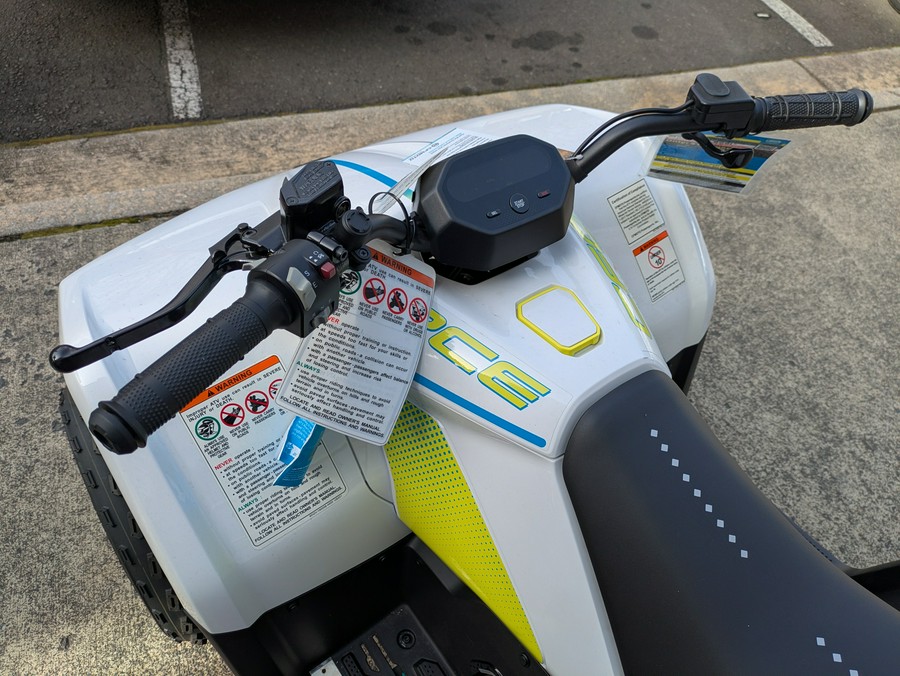2024 CFMOTO CForce EV110