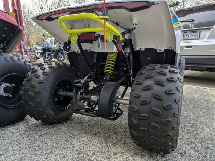 2024 CFMOTO CForce EV110