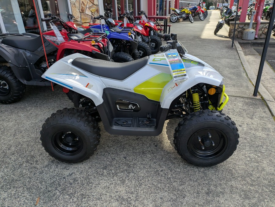 2024 CFMOTO CForce EV110