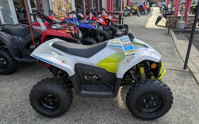 2024 CFMOTO CForce EV110