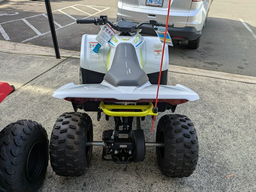 2024 CFMOTO CForce EV110