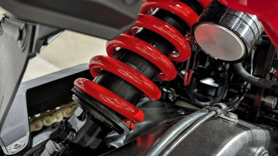 2026 BMW F 900 GS Passion