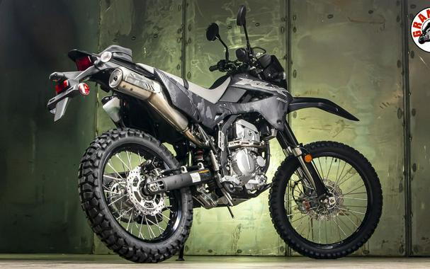 2024 Kawasaki KLX®300