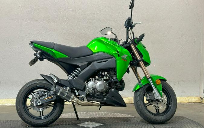 Kawasaki Z125 PRO KRT Edition 2017 BR125JHF A06129T GREEN