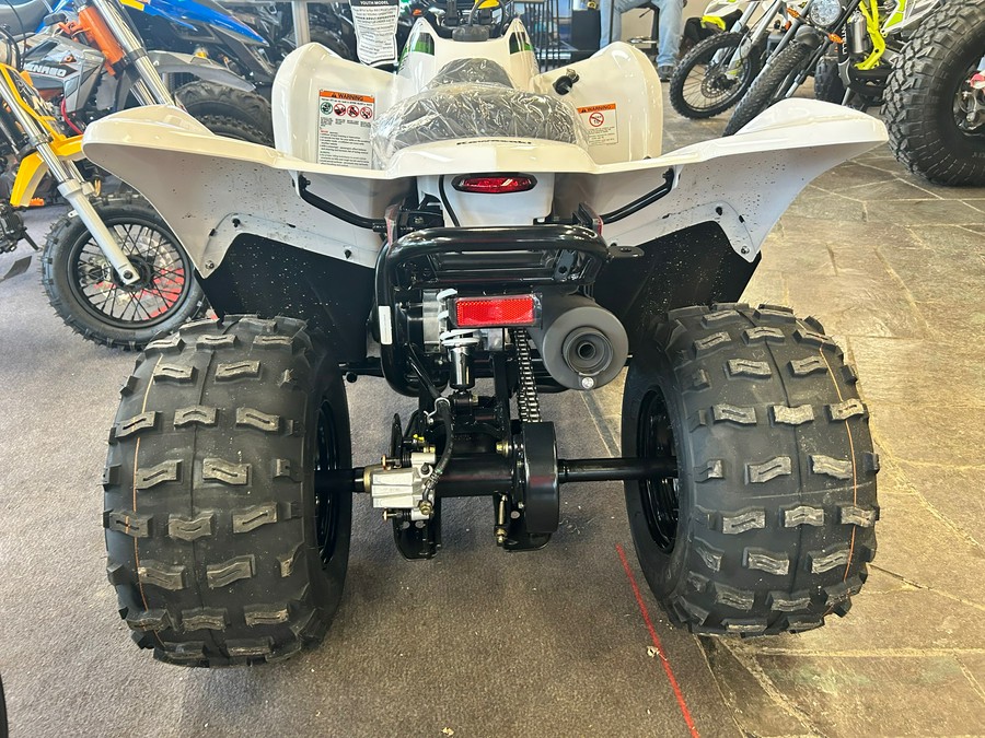 2026 KAWASAKI KFX 90 - K10046