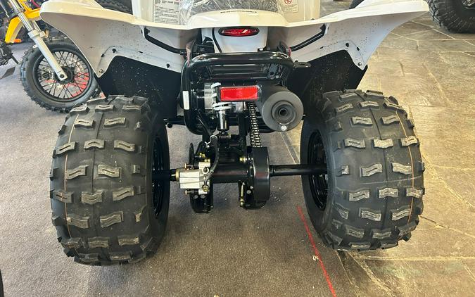 2026 KAWASAKI KFX 90 - K10046