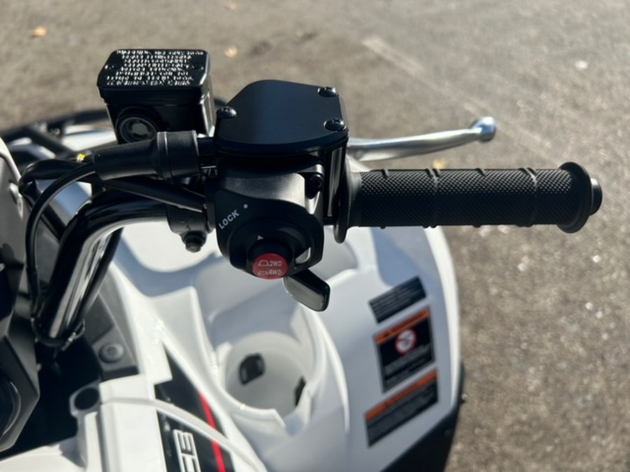 2025 KAWASAKI BRUTE FORCE 450 - K10048