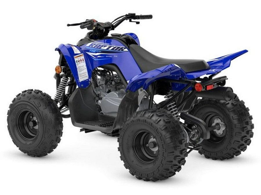 2026 Yamaha Motor Corp., USA Raptor 110