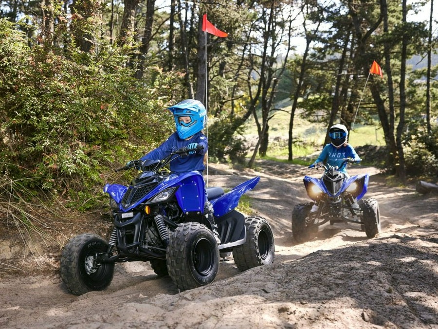 2026 Yamaha Motor Corp., USA Raptor 110