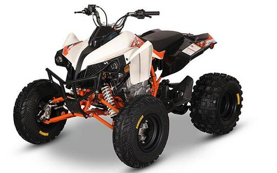 2026 Kayo Storm 300 EFI