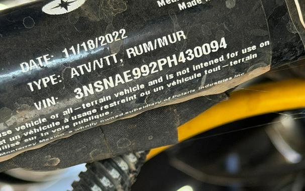 2023 Polaris RZR XP 1000 Sport