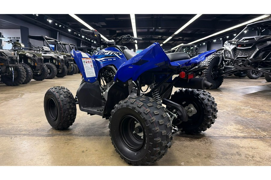 2026 Yamaha Raptor 110