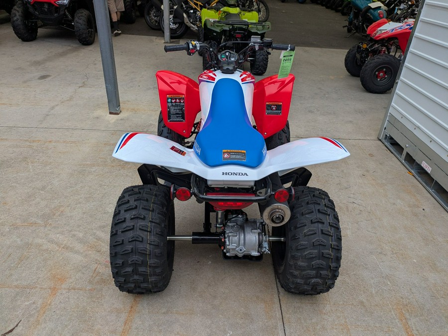 2026 Honda TRX250X