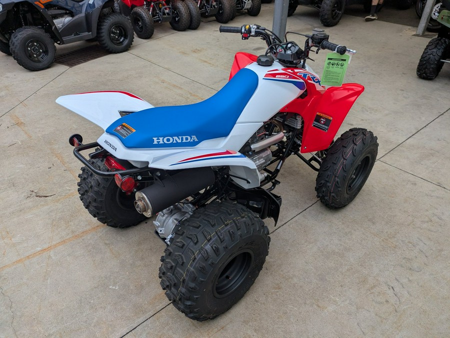 2026 Honda TRX250X