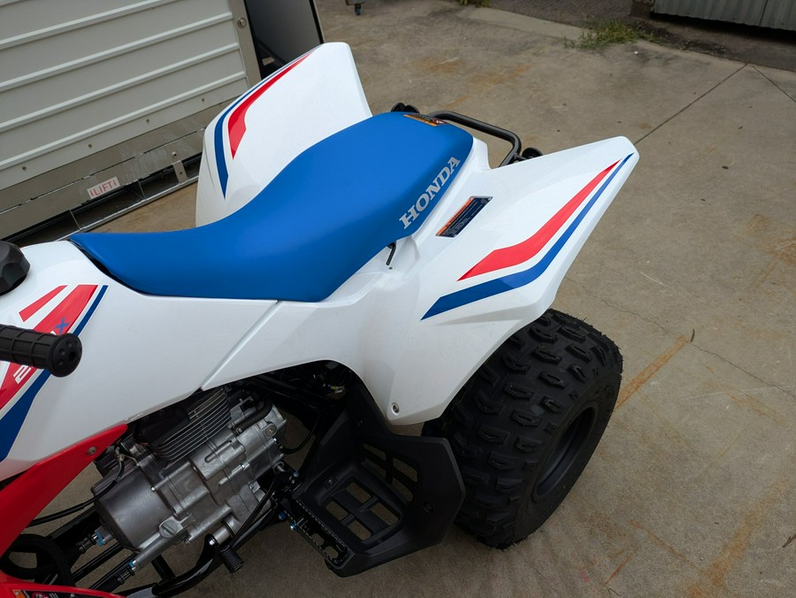 2026 Honda TRX250X
