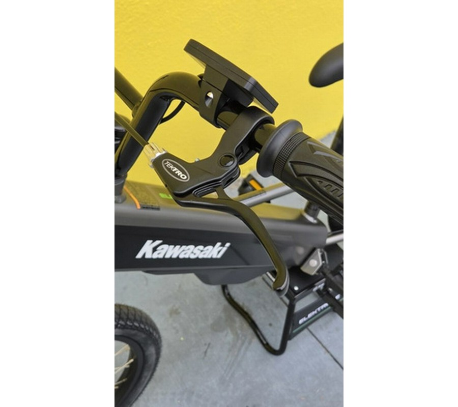 2025 Kawasaki ELEKTRODE 20FS