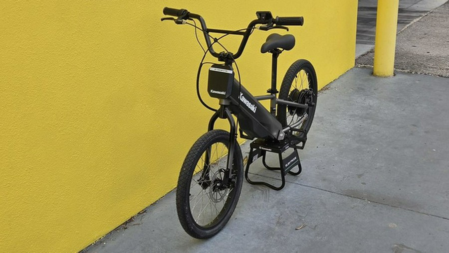 2025 Kawasaki ELEKTRODE 20FS