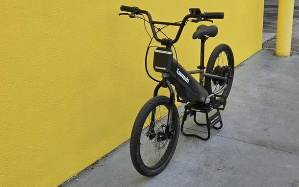 2025 Kawasaki ELEKTRODE 20FS